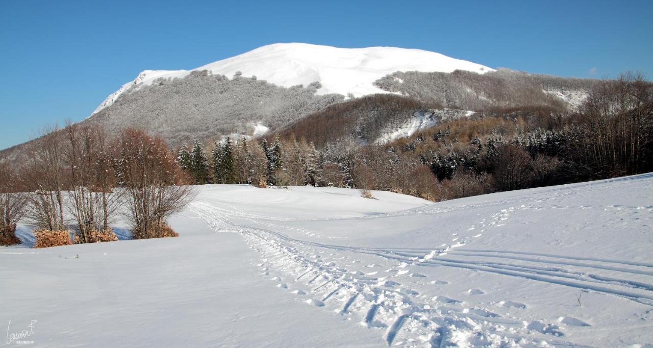 Antica Locanda Bonfiglio Busana Екстериор снимка